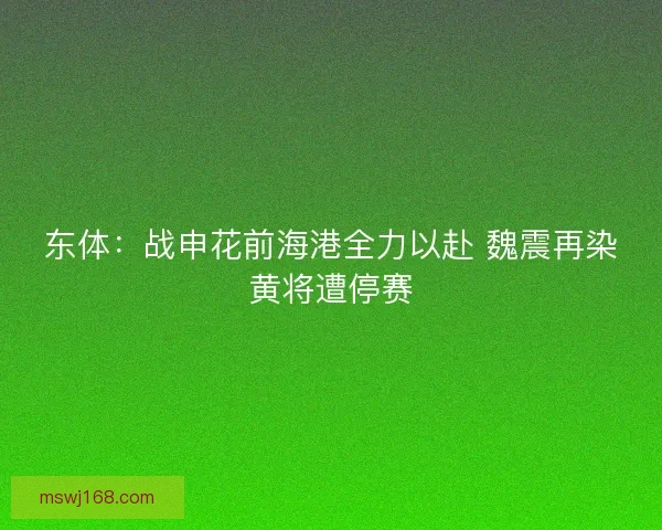 东体：战申花前海港全力以赴 魏震再染黄将遭停赛