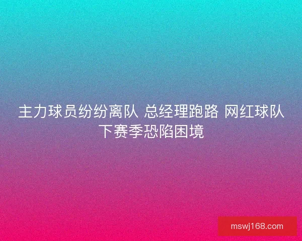 主力球员纷纷离队 总经理跑路 网红球队下赛季恐陷困境