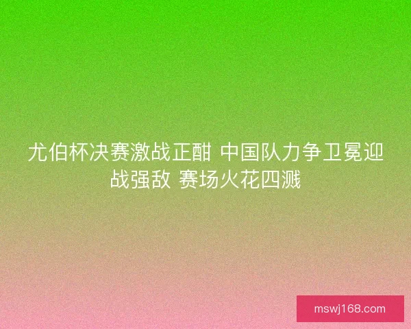 尤伯杯决赛激战正酣 中国队力争卫冕迎战强敌 赛场火花四溅