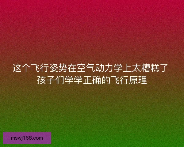 这个飞行姿势在空气动力学上太糟糕了 孩子们学学正确的飞行原理